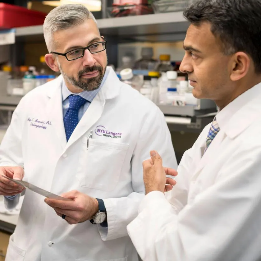 Rehabilitation Programs